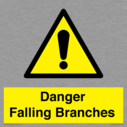 danger-falling-branches~
